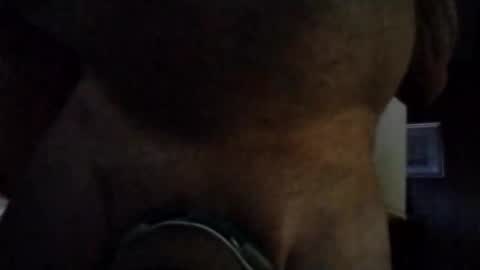 Snapshot of stuffamuffagus69 chatting on November 16, 1:00 am stuffamuffagus69 online show from November 16, 1:00 am