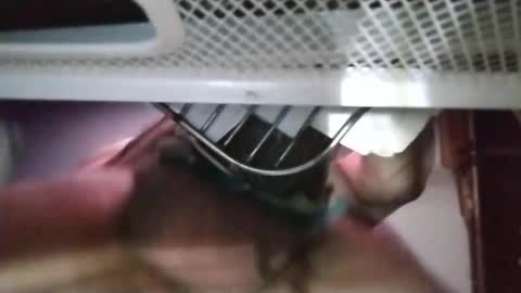 Snapshot of stuffamuffagus69 chatting on November 18, 1:11 am stuffamuffagus69 online show from November 18, 1:11 am