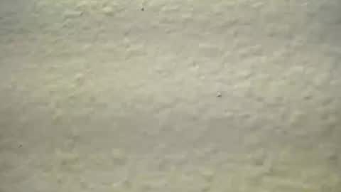 subswitchuser online show from October 3, 1:52 pm