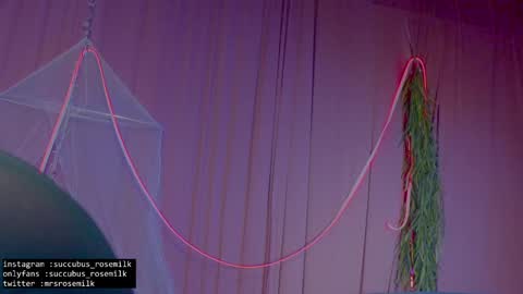 Succubus RoseMilk online show from January 27, 2:53 am