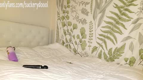 Maya online show from February 1, 3:05 am