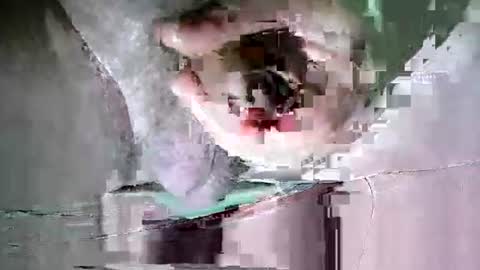 Martin sweetboy online show from October 20, 11:38 pm