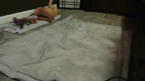 Suga cookie online show from December 9, 4:56 am