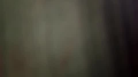 Snapshot of sulyrouse chatting on April 2, 4:43 am suly online show from April 2, 4:43 am