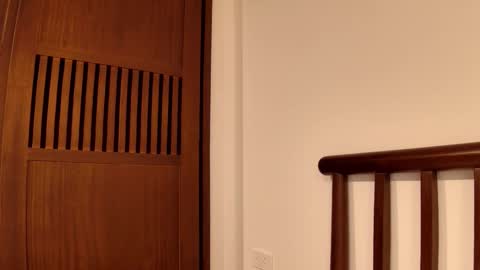 luna online show from November 29, 2:20 pm