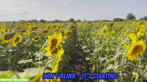 Tina. Im topless model  online show from February 5, 9:03 am