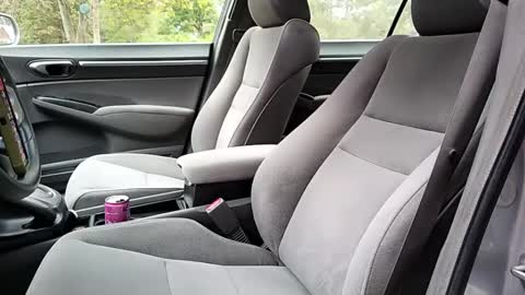 sunny valentine online show from October 7, 1:52 pm