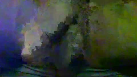 Snapshot of sunnyjohn447 chatting on September 25, 10:52 am Sunnyblack2 online show from September 25, 10:52 am