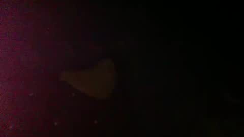 Snapshot of sunnyjohn447 chatting on March 9, 7:07 pm Sunnyblack2 online show from March 9, 7:07 pm