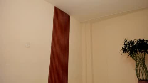 llllSupra llll online show from December 18, 8:04 pm