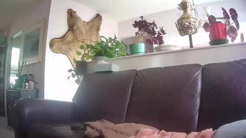 Otto online show from October 7, 9:56 pm