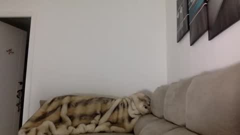 ALBA online show from November 14, 5:44 pm