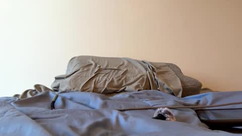 Snapshot of sweet6161 chatting on March 24, 3:17 pm Zeppelin man online show from March 24, 3:17 pm