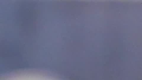 Catalina online show from December 31, 6:16 am