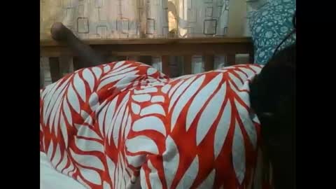 MELVIN online show from November 25, 7:08 am