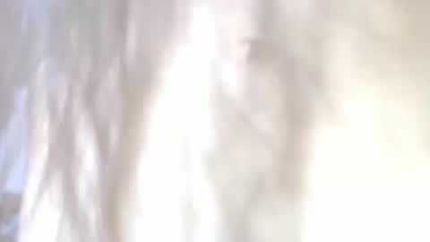 sweetdam12 online show from December 30, 11:28 pm