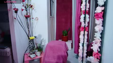 sweef online show from January 17, 5:00 am