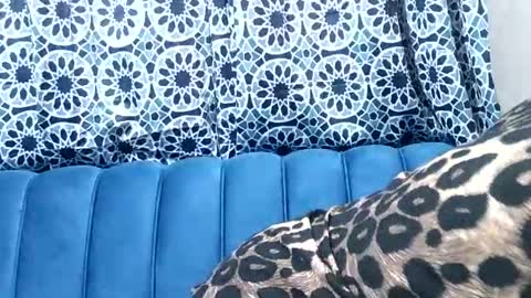 sweetgal11 online show from July 3, 10:32 am