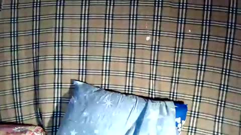 jess online show from July 31, 1:49 am