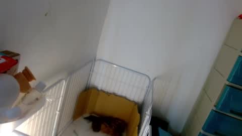 Snapshot of sweetlilly_18 chatting on January 7, 5:20 pm Lilly online show from January 7, 5:20 pm