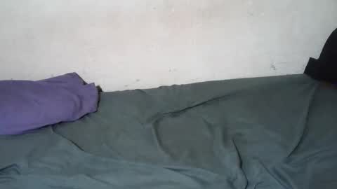 Diego online show from February 4, 7:42 pm