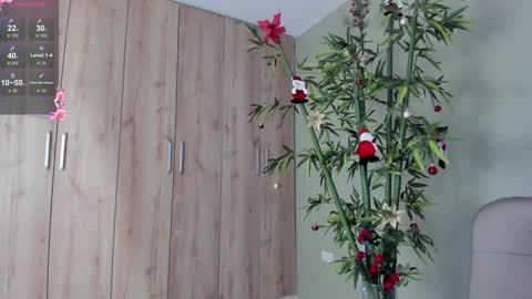    online show from December 11, 4:20 pm