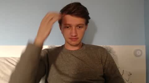 Cat online show from February 1, 11:31 am