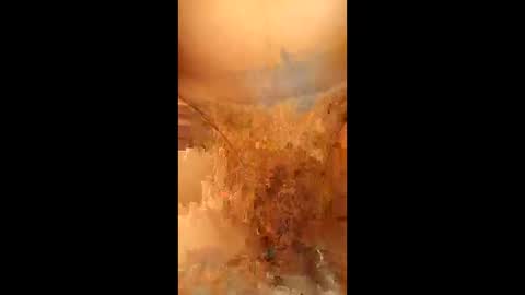 swiri123 online show from February 28, 11:11 am