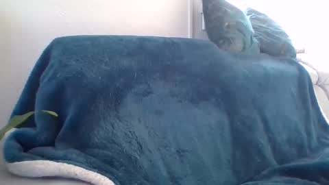 swissride online show from February 27, 1:38 pm