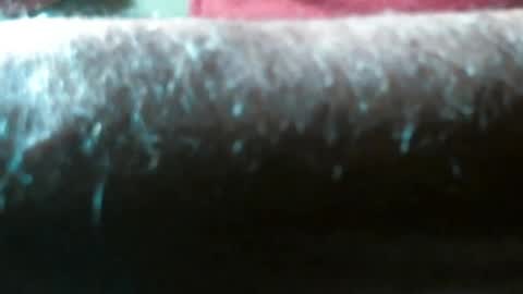 Snapshot of swizzle__stick chatting on April 29, 9:57 am will jeffers online show from April 29, 9:57 am