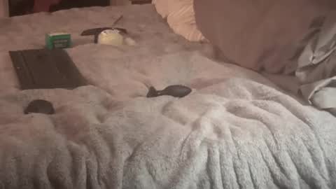 SissyDenver online show from September 14, 9:30 am