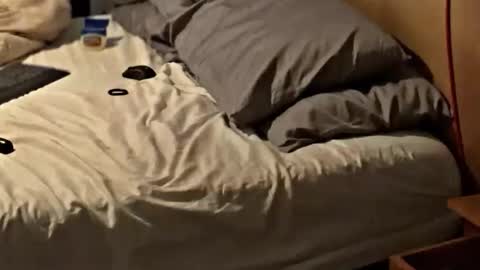 SissyDenver online show from November 25, 8:25 am