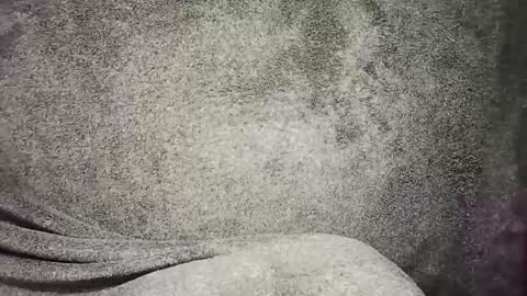 t0ny_cawk online show from December 22, 7:54 am