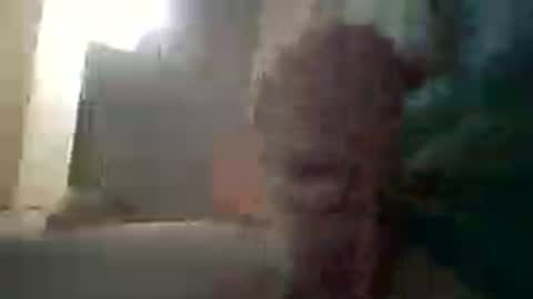 ta_84 online show from July 4, 10:38 pm