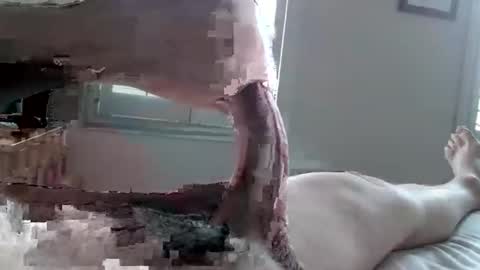 Snapshot of tactful1 chatting on April 3, 5:11 pm Tactful1 online show from April 3, 5:11 pm