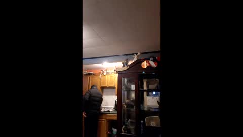 taliban809 online show from February 6, 11:46 am