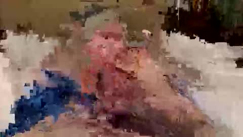 tallnfun101 online show from February 21, 11:44 am