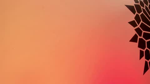 Snapshot of tamarathompsonn chatting on February 25, 3:49 pm Tamara. online show from February 25, 3:49 pm