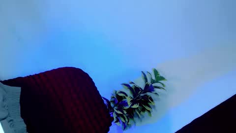 Snapshot of tamera_cummer0969 chatting on November 20, 7:57 pm tamera_cummer0969 online show from November 20, 7:57 pm