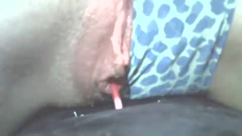 tamesbury online show from November 2, 2:25 am