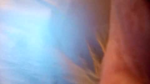 tan49476 online show from September 28, 5:02 am