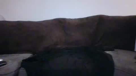 Snapshot of tarshil017 chatting on November 12, 8:26 am tarshil017 online show from November 12, 8:26 am