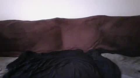 Snapshot of tarshil017 chatting on February 18, 7:10 pm tarshil017 online show from February 18, 7:10 pm