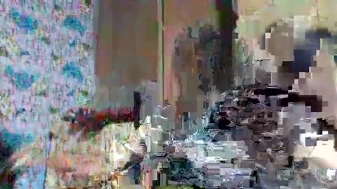 tasty_olive online show from March 2, 6:27 am