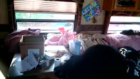 tastycakes999 online show from November 18, 6:45 pm