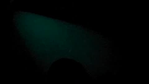 Snapshot of tatko874482 chatting on July 4, 7:42 pm Beliqnegar online show from July 4, 7:42 pm