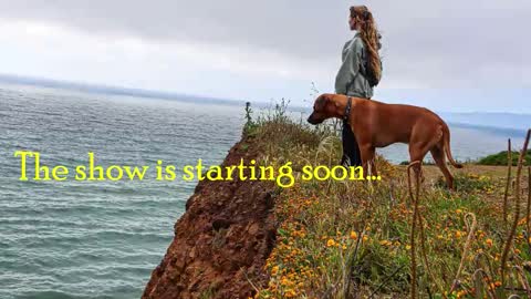 Snapshot of tatum__kahlo chatting on February 28, 12:00 am TATUM ALL MY LINKS online show from February 28, 12:00 am