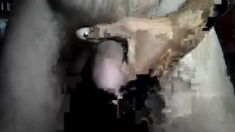 Snapshot of taylor3made chatting on February 22, 8:46 am taylor3made online show from February 22, 8:46 am