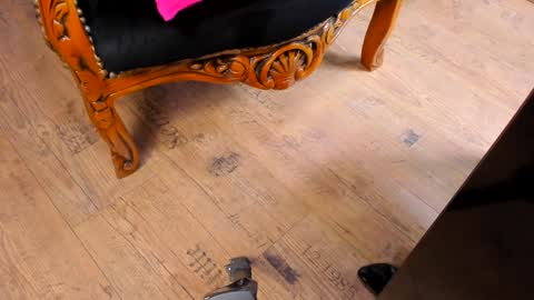 Mistress Taylor online show from December 15, 10:37 pm