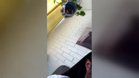 tazhardaway3435 online show from February 1, 8:40 pm